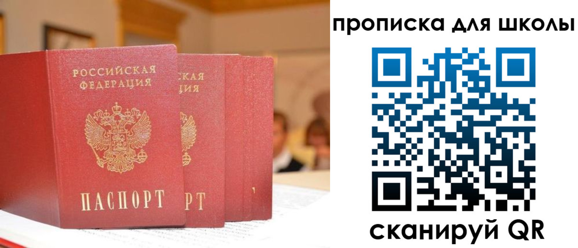 временная регистрация гарантия в Владивостоке